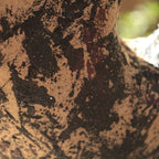 Wavy Art Bowl - sand
