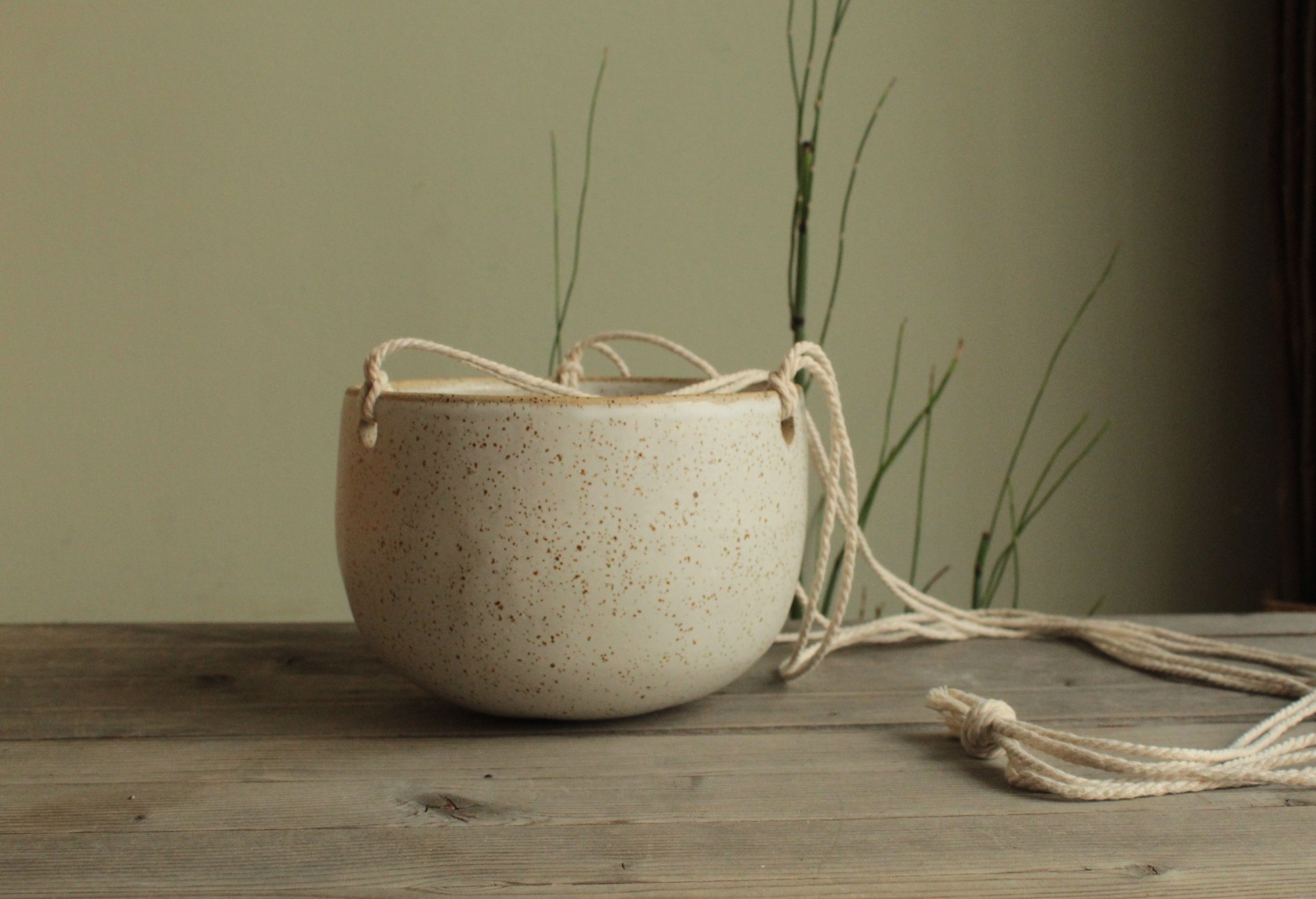 Hanging indoor planter