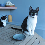 Load image into Gallery viewer, Pet bowls
