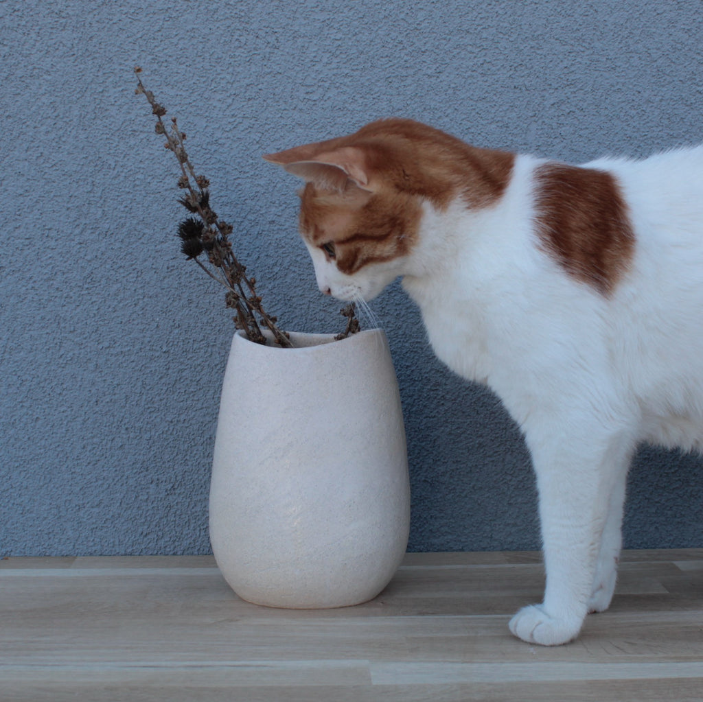 White vase 2