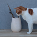 White vase 2