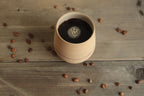 Red line cup