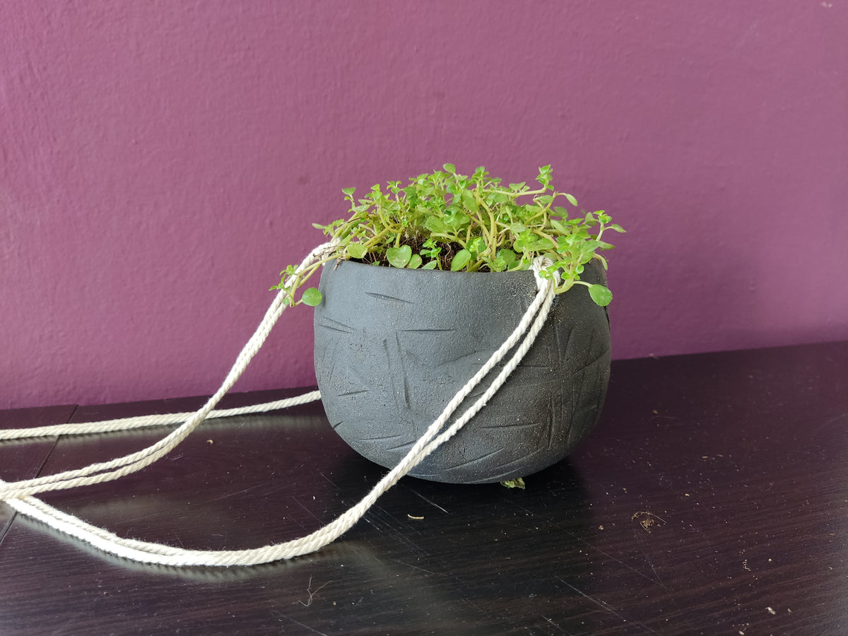 Black hanging indoor planter