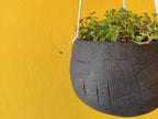 Black hanging indoor planter