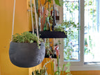 Black hanging indoor planter