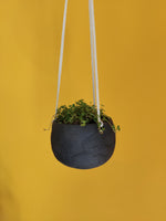 Load image into Gallery viewer, Black hanging indoor planter

