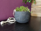 Black hanging indoor planter