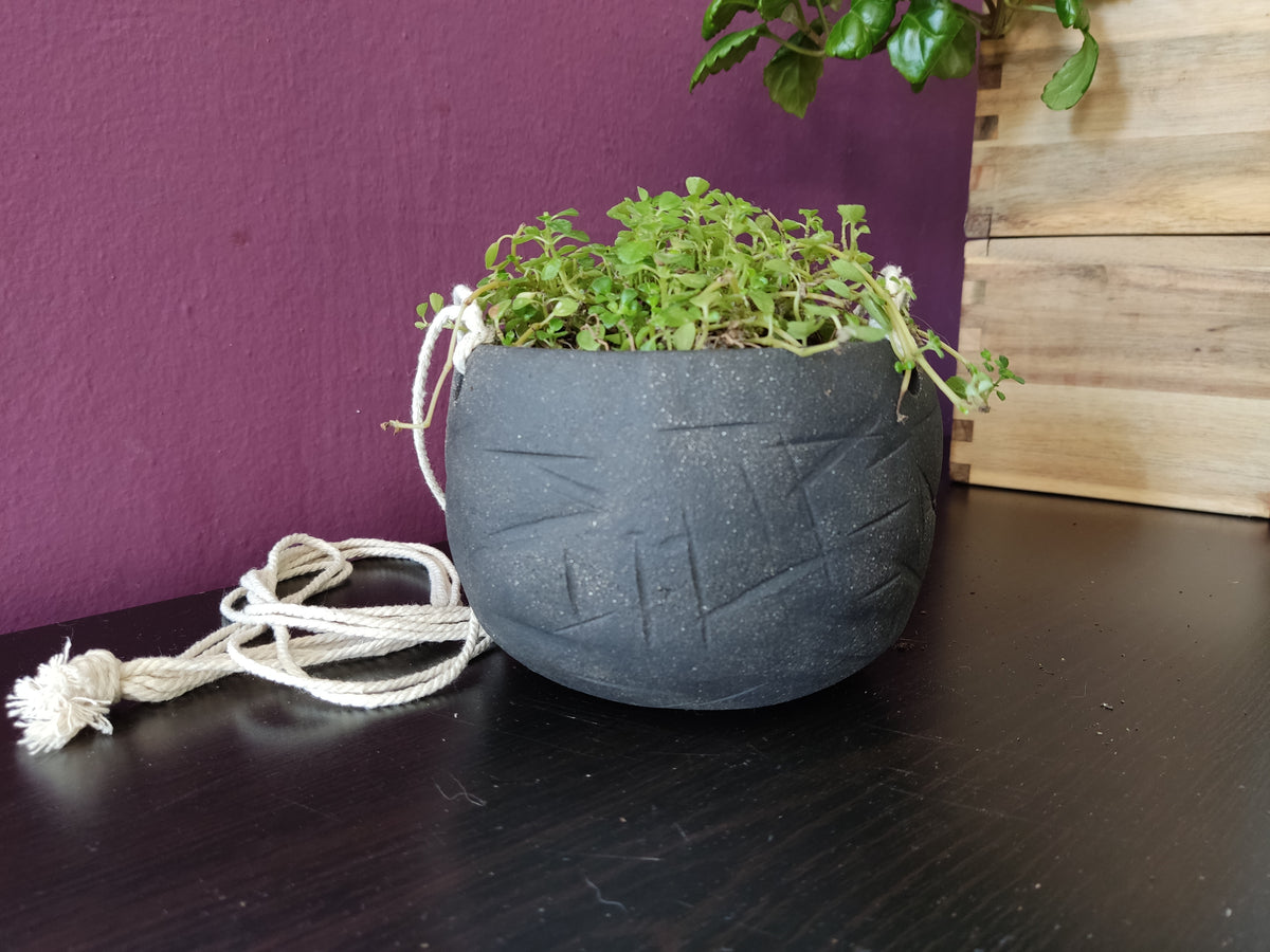 Black hanging indoor planter