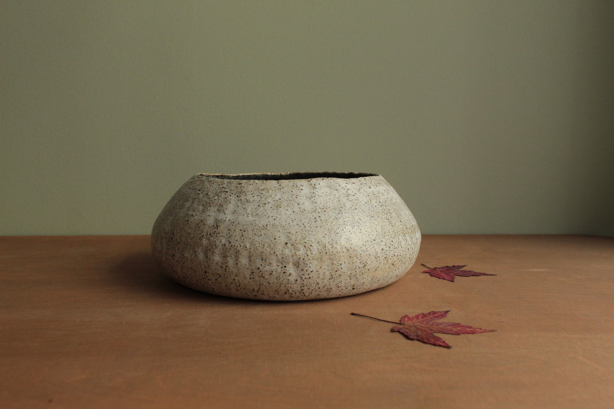 White vessel with black rocks
