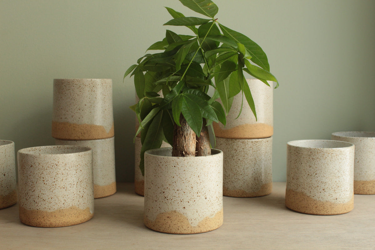 White speckled planter