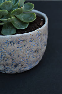 Indoor planter with blue design