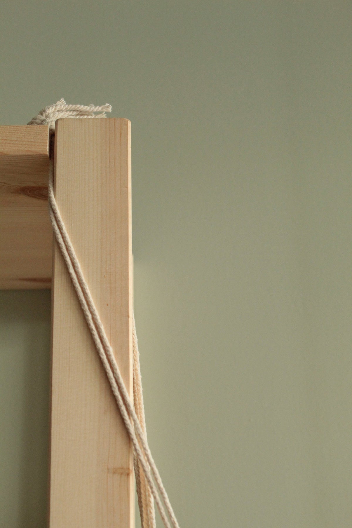 Hanging indoor planter