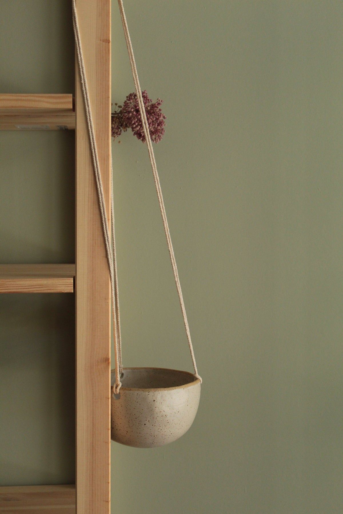 Hanging indoor planter