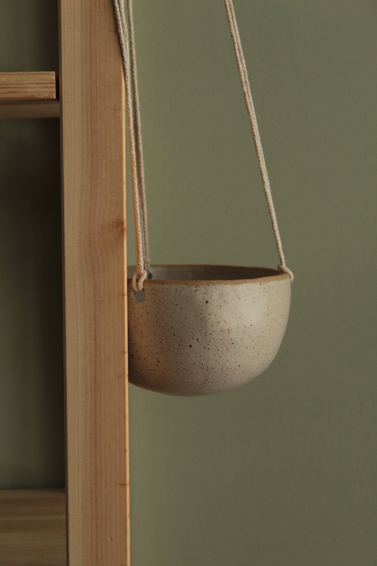 Hanging indoor planter