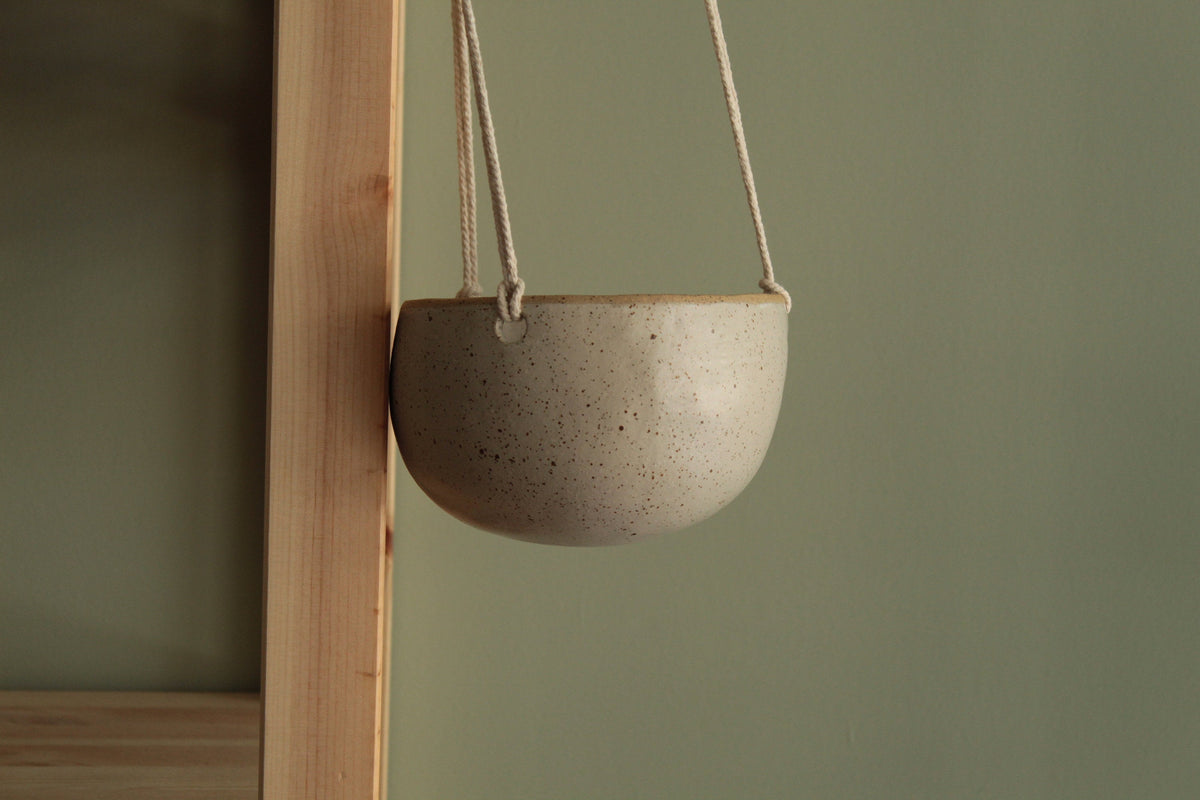 Hanging indoor planter